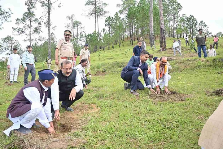 हरेला पर्व पर अल्मोड़ा ने दिखाई हरियाली की राह, हजारों पौधे लगाए गए