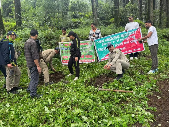 वनोत्सव मनाकर पौधरोपण किया गया  
